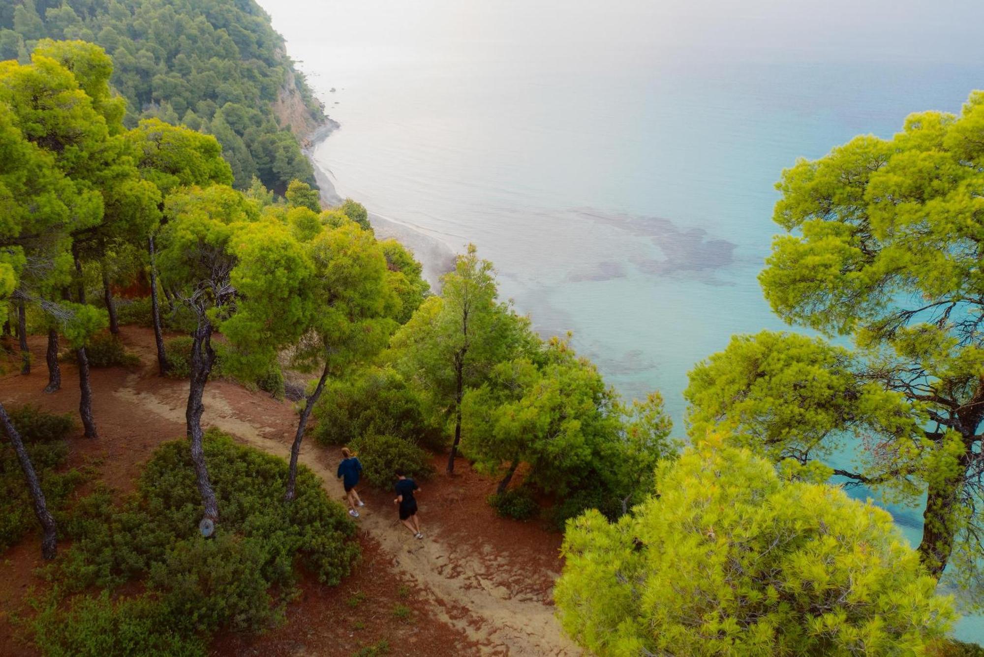 Sani Sani (Chalkidiki)